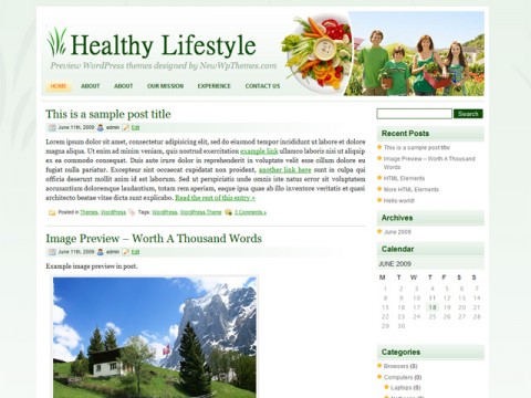 Healthy Lifestyle Free WordPress Theme