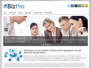 /category/business_wordpress_themes/page/2/BizPro_Free_WordPress_Themes.jpg