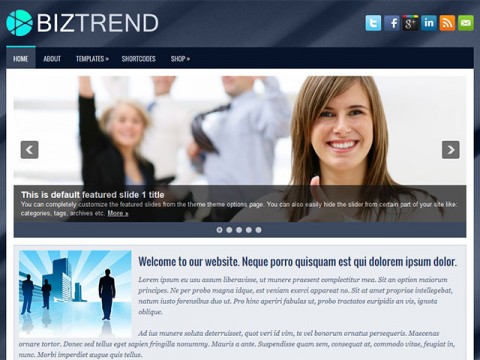 /biztrend_free_wordpress_theme/BizTrend_Free_WordPress_Themes.jpg