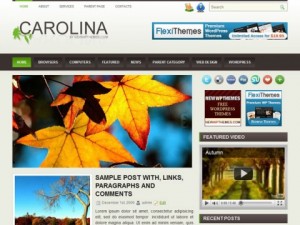 /tag/brown/Carolina_Free_WordPress_Theme.jpg