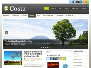 /2013/12/page/3/Costa_Free_WP_Theme.jpg