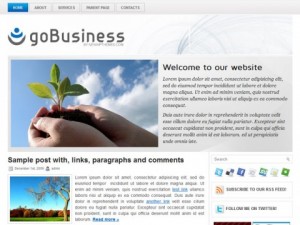 goBusiness-WordPress-Theme