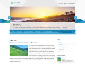 summer_wp_themes